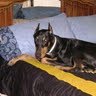 Judy Piatt Photo 16