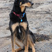 Maggie Sweet Photo 13