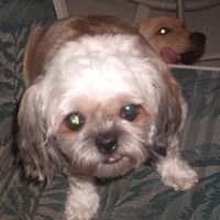 Melinda Palmer Photo 18