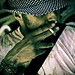 Byron Rich Photo 6