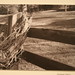 Anna Beasley Photo 21