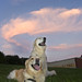 Kelly Segal Photo 9