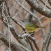 Eric Hynes Photo 29