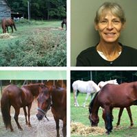 Debbie Griffin Photo 58