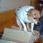Sheri Taylor Photo 28