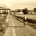 Lori Campagna Photo 17