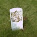 George Gann Photo 4
