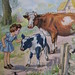 Jill Marston Photo 10