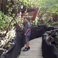 David Manuel Photo 23
