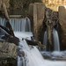 Howard Mills Photo 38