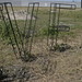 Stacie Ward Photo 12