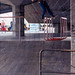 Jason Dill Photo 25
