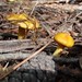 Debbie Ruiz Photo 19