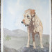 Debbie Connors Photo 22