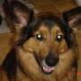 Willy Robinson Photo 14