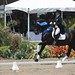 Debbie Steffen Photo 18