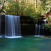 Cynthia Holmes Photo 16