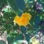 Elizabeth Kiser Photo 30