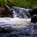 Donna Beck Photo 12