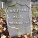 M Williams Photo 29