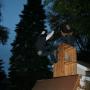 Jonathan Rowe Photo 18
