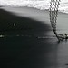 Michele Greco Photo 20