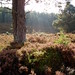 Heather Munro Photo 34