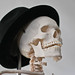 Tyler Shaw Photo 13