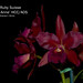 Anne Ruby Photo 12