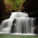 Forrest Mize Photo 1