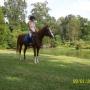 Lisa Dillman Photo 32