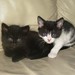Lisa Blackburn Photo 20