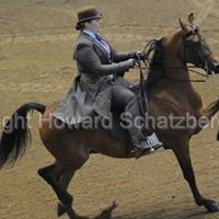 Sandra Gable Photo 26