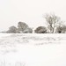 Robin Plummer Photo 18