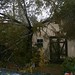 Katrina Wright Photo 29