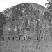 Charles Harding Photo 36