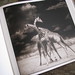 Vicki Brandt Photo 2