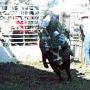 Cory Harvey Photo 26