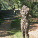 Michele Hamilton Photo 28