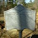 Mark Mills Photo 42