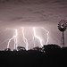 Charles Bush Photo 19
