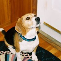 Cindy Burroughs Photo 8
