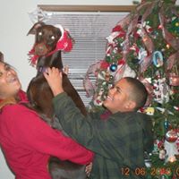 Carol Cobbs Photo 17
