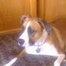 Lisa Krueger Photo 5