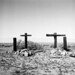 Jane Kramer Photo 19