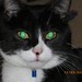 Andrea Tynes Photo 9