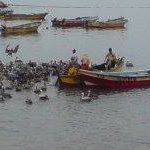 Segundo Acevedo Photo 5