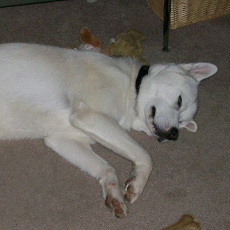 Janice Evans Photo 33