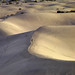 Steve Best Photo 31