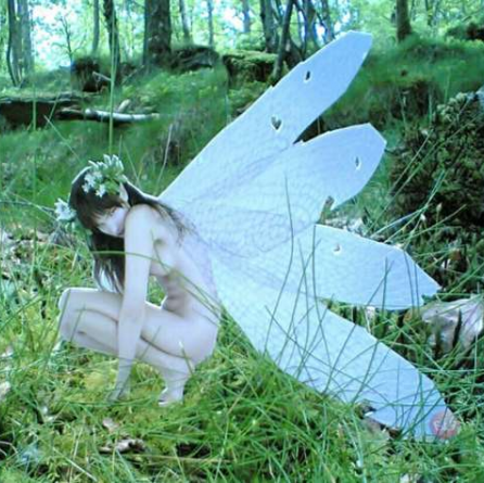 Tina Downing Photo 34